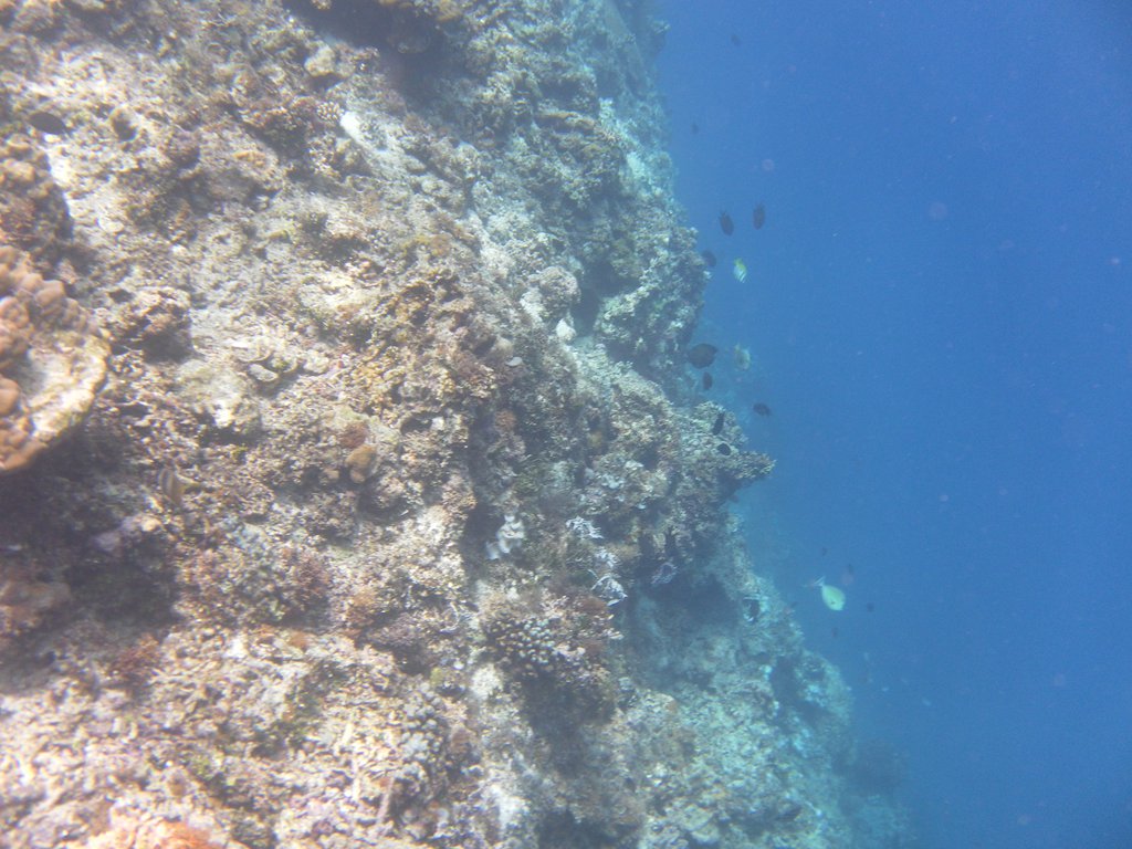 Image SAM_3100.JPG