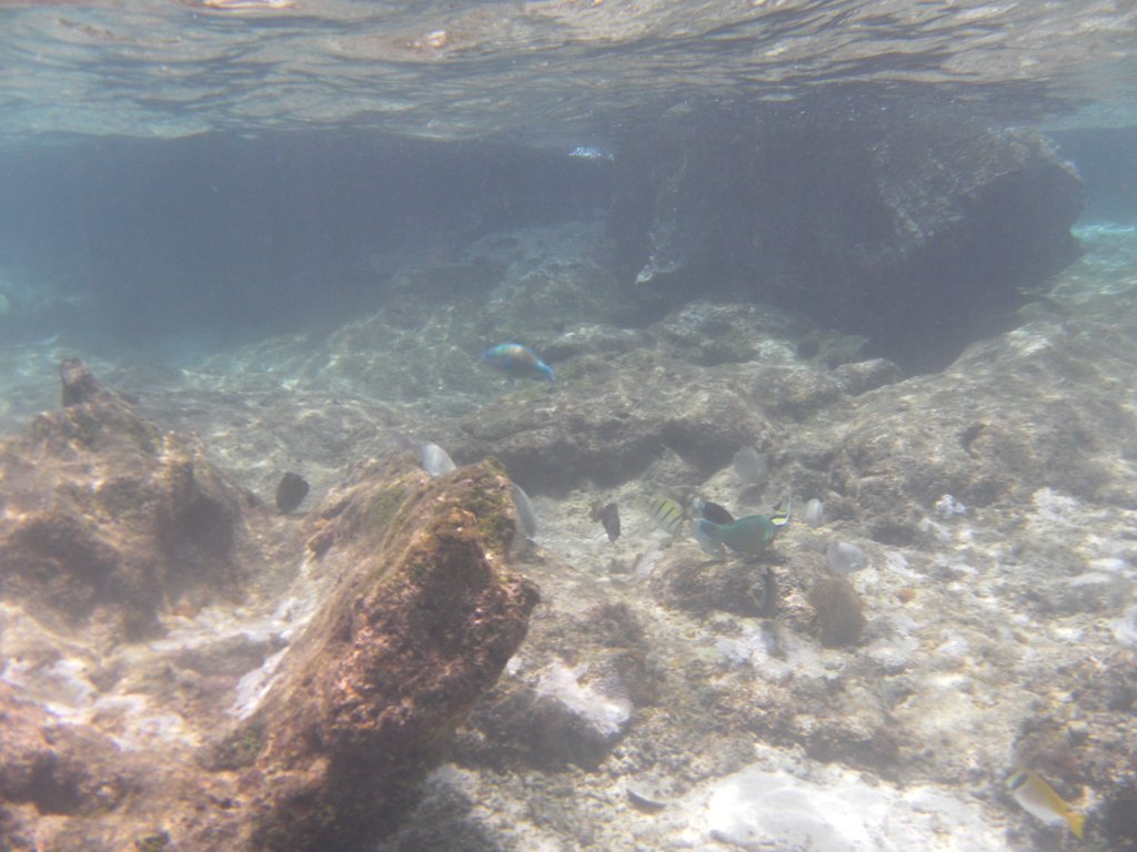Image SAM_3105.JPG