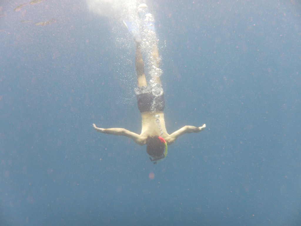 Image SAM_3108.JPG
