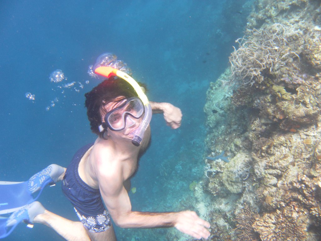 Image SAM_3111.JPG