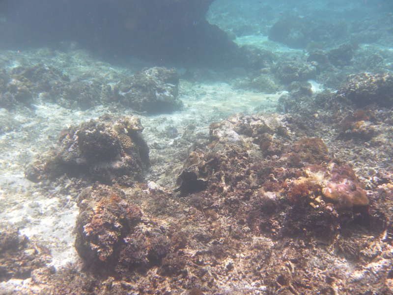 Image SAM_3114.JPG