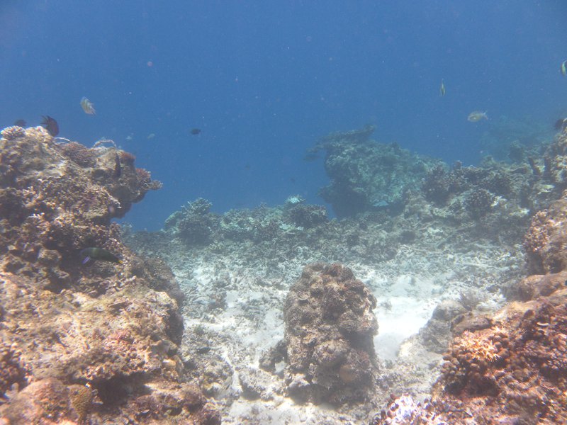 Image SAM_3128.JPG