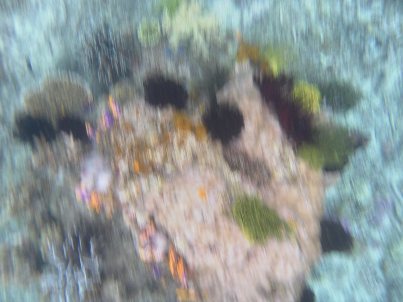 Image SAM_3171.JPG