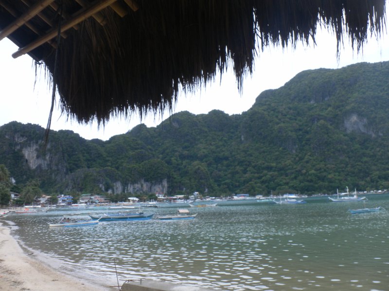 Image SAM_3239.JPG