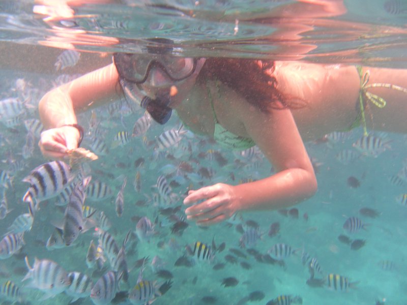 Image SAM_3352.JPG