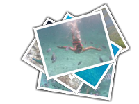 El Nido album picture