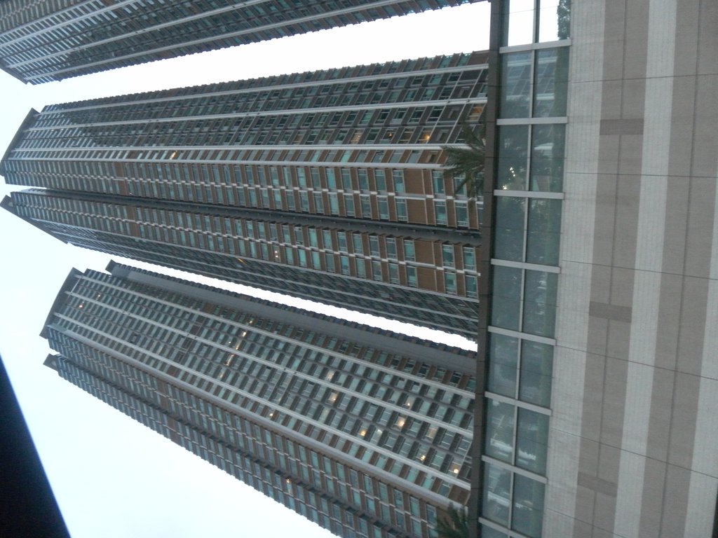 Image SAM_3557.JPG