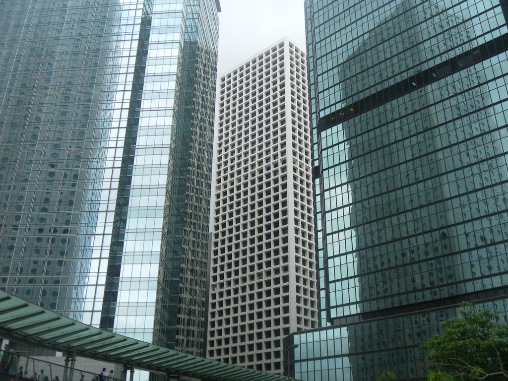 Image SAM_3599.JPG