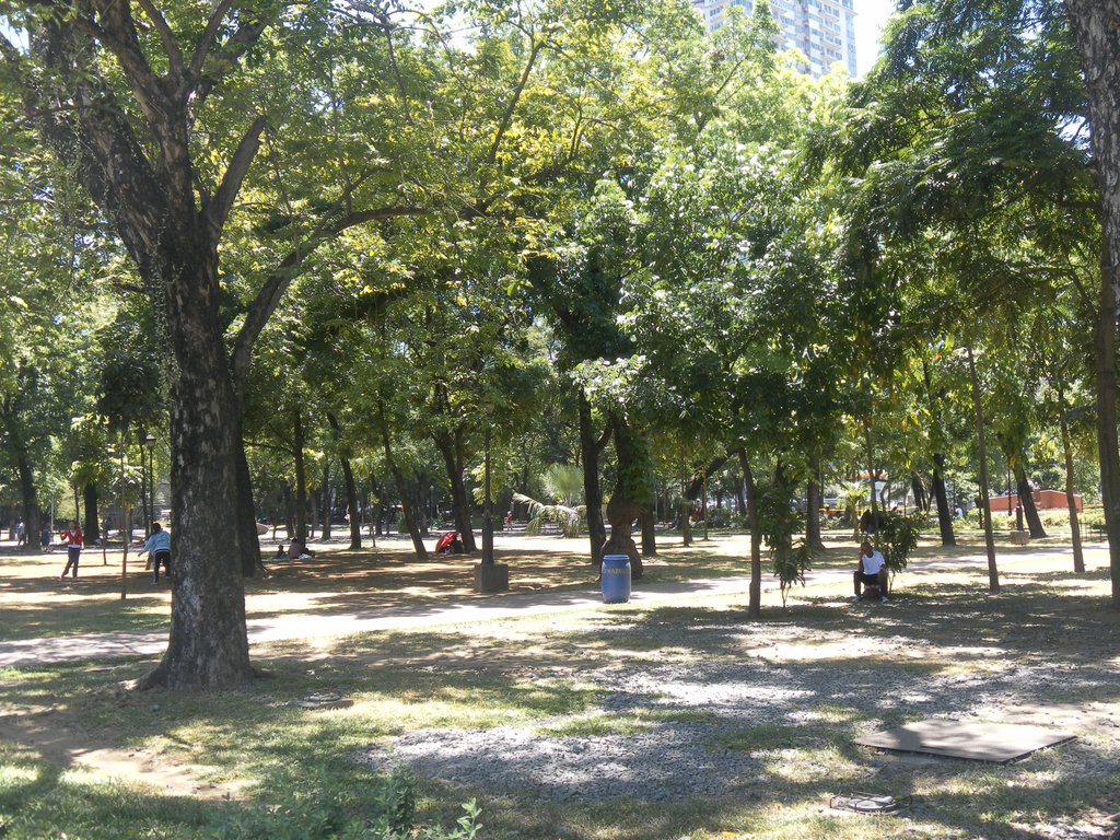 Image SAM_2949.JPG