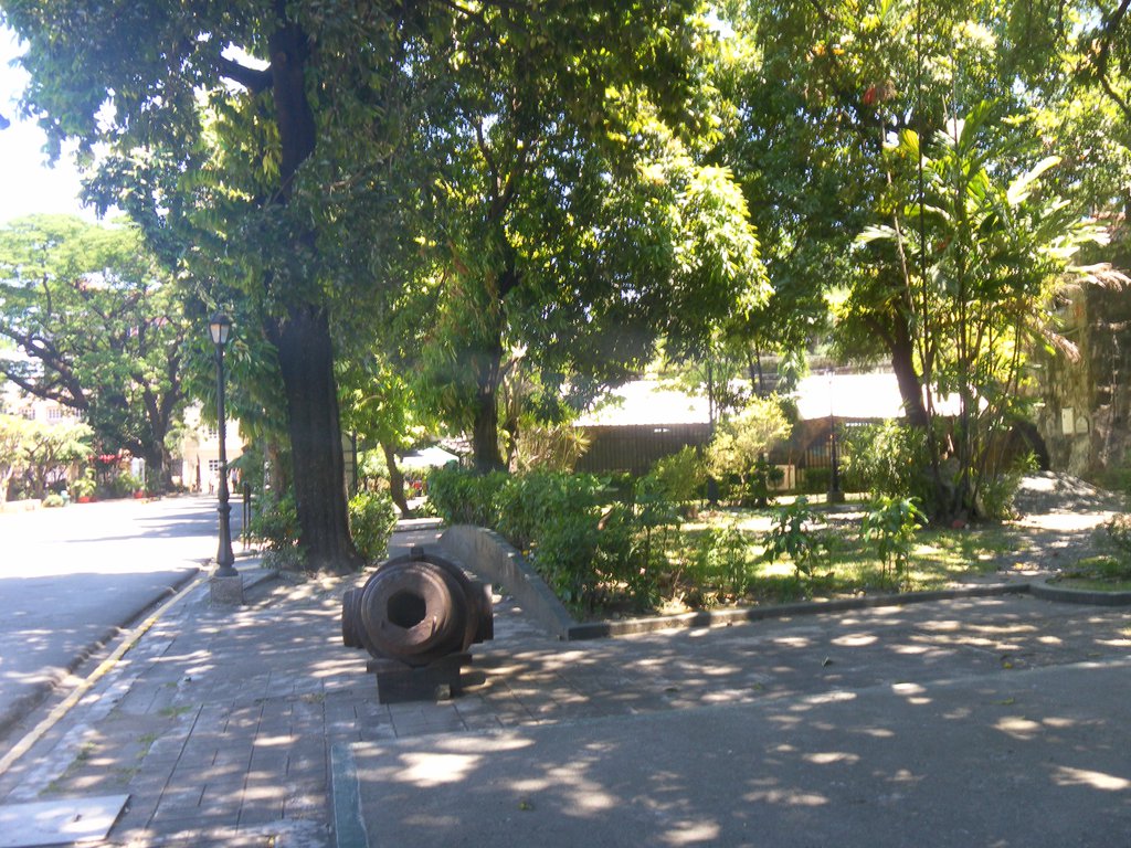Image SAM_2994.JPG