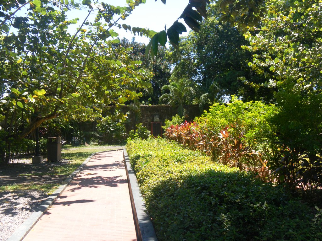Image SAM_2995.JPG