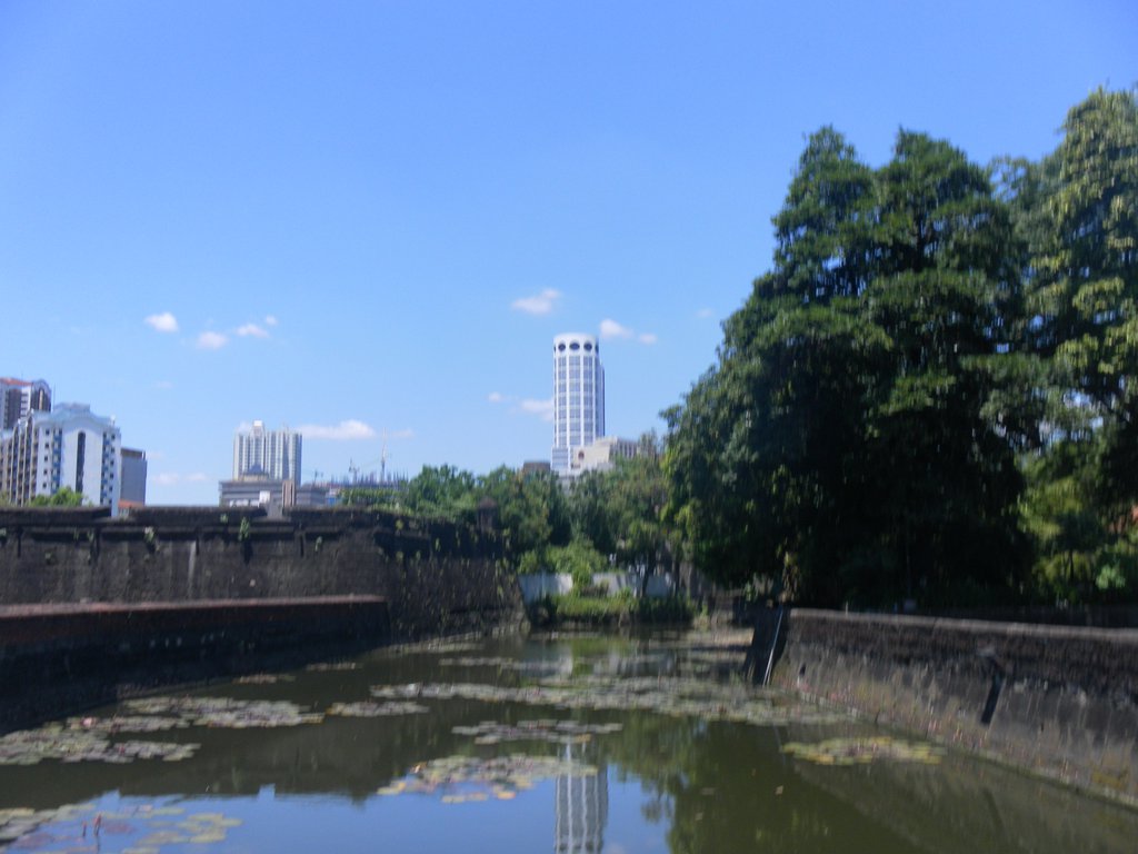 Image SAM_2998.JPG