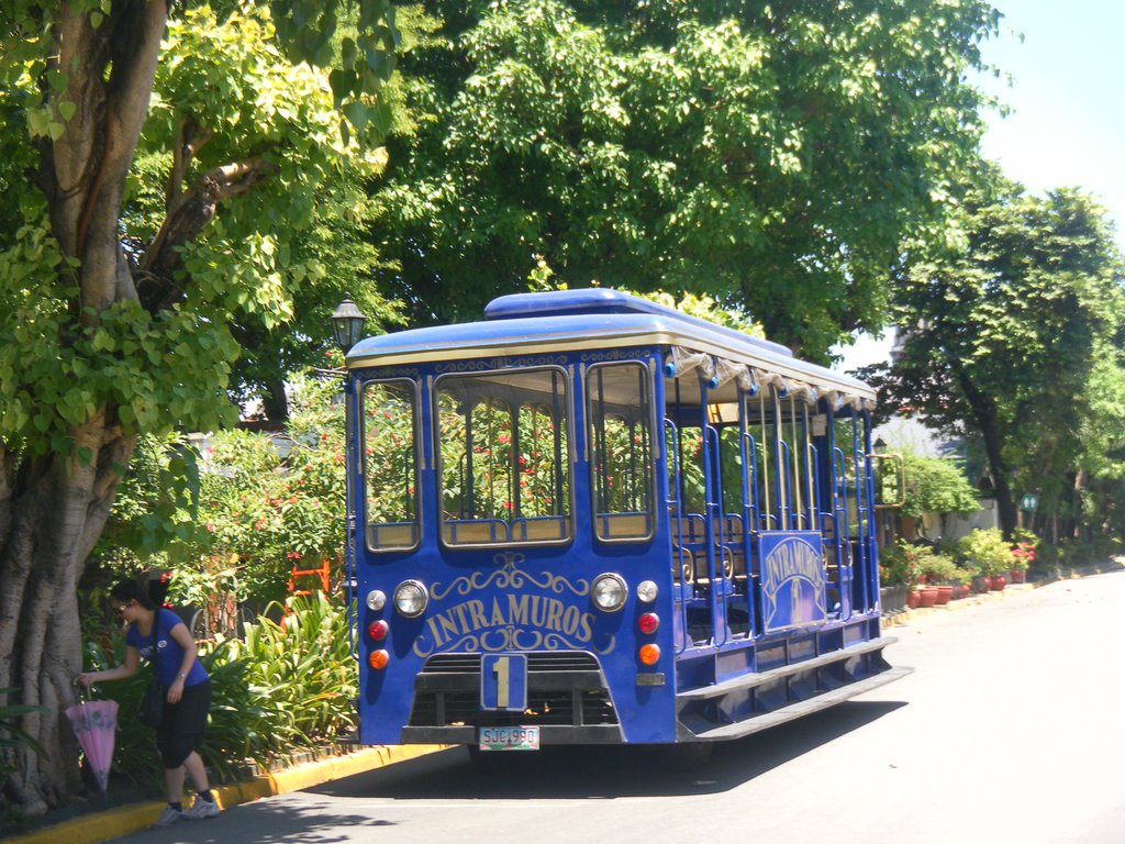 Image SAM_3007.JPG