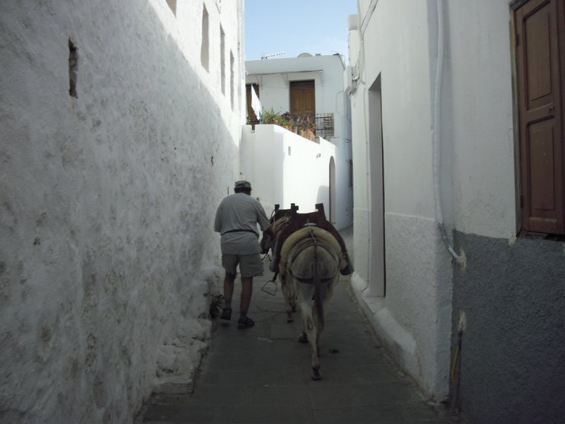 Image CIMG4641.JPG