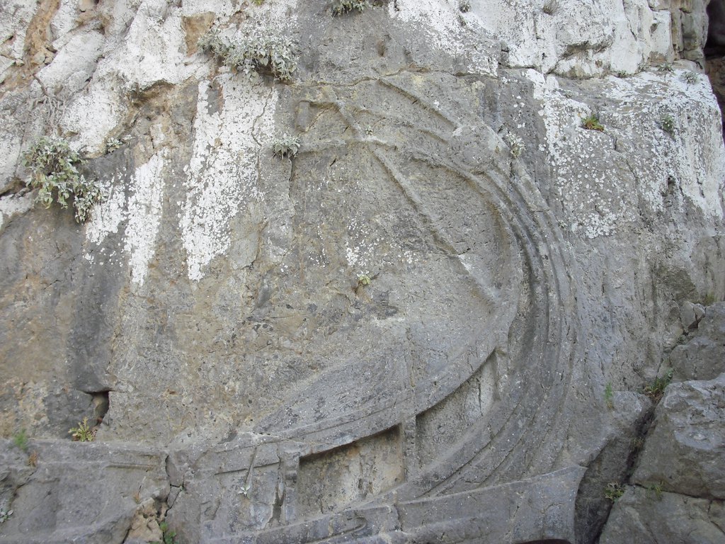 Image CIMG4650.JPG