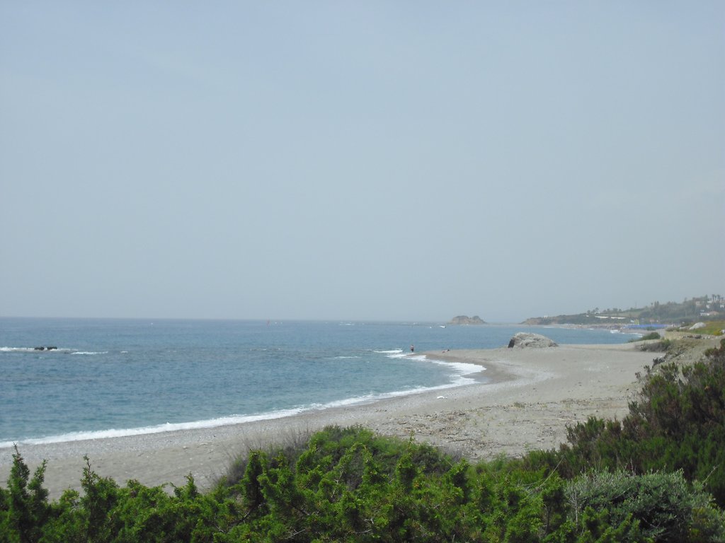 Image CIMG4681.JPG