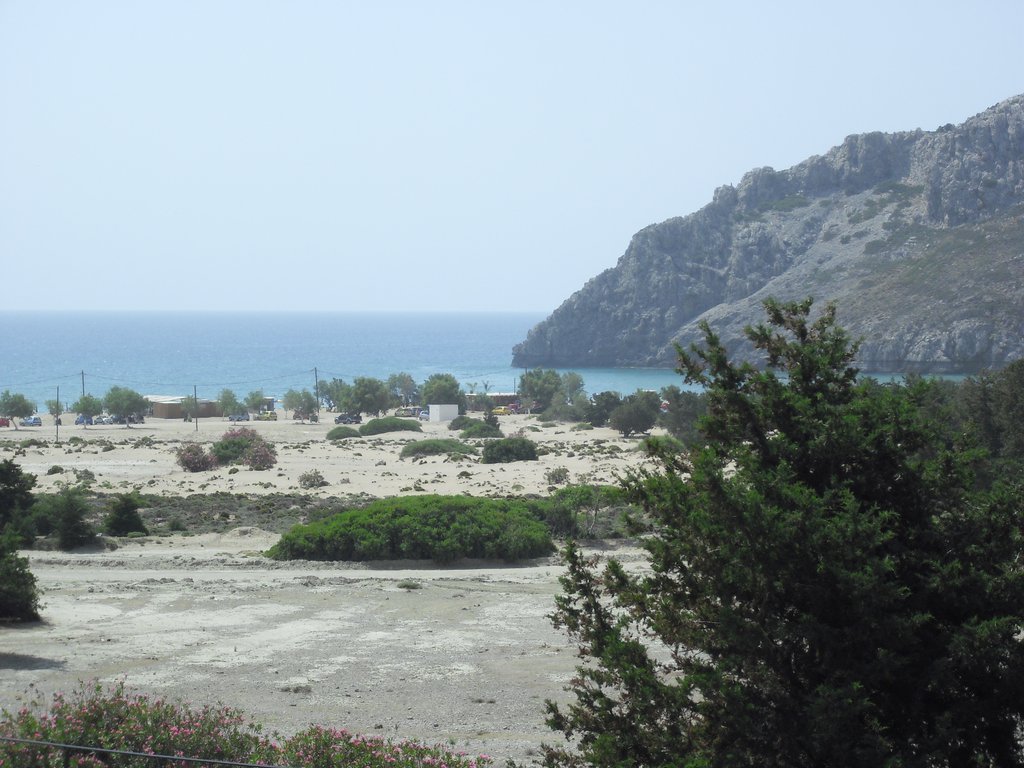 Image CIMG4689.JPG