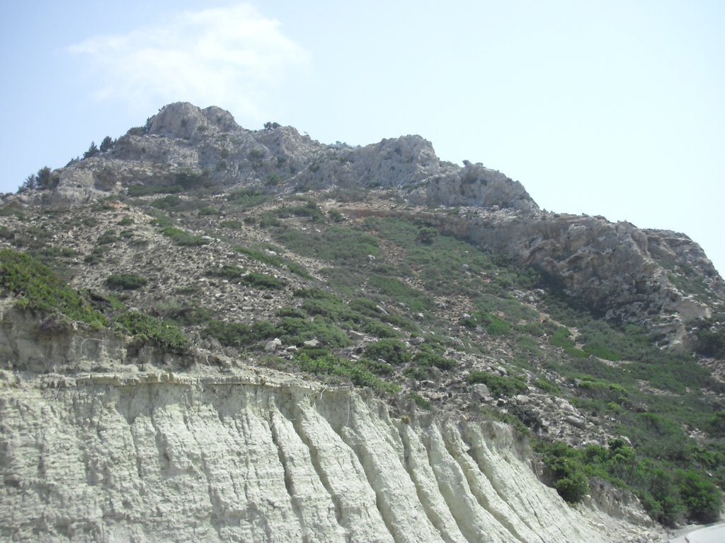 Image CIMG4691.JPG