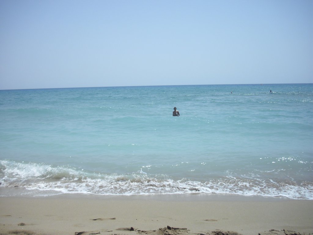 Image CIMG4695.JPG