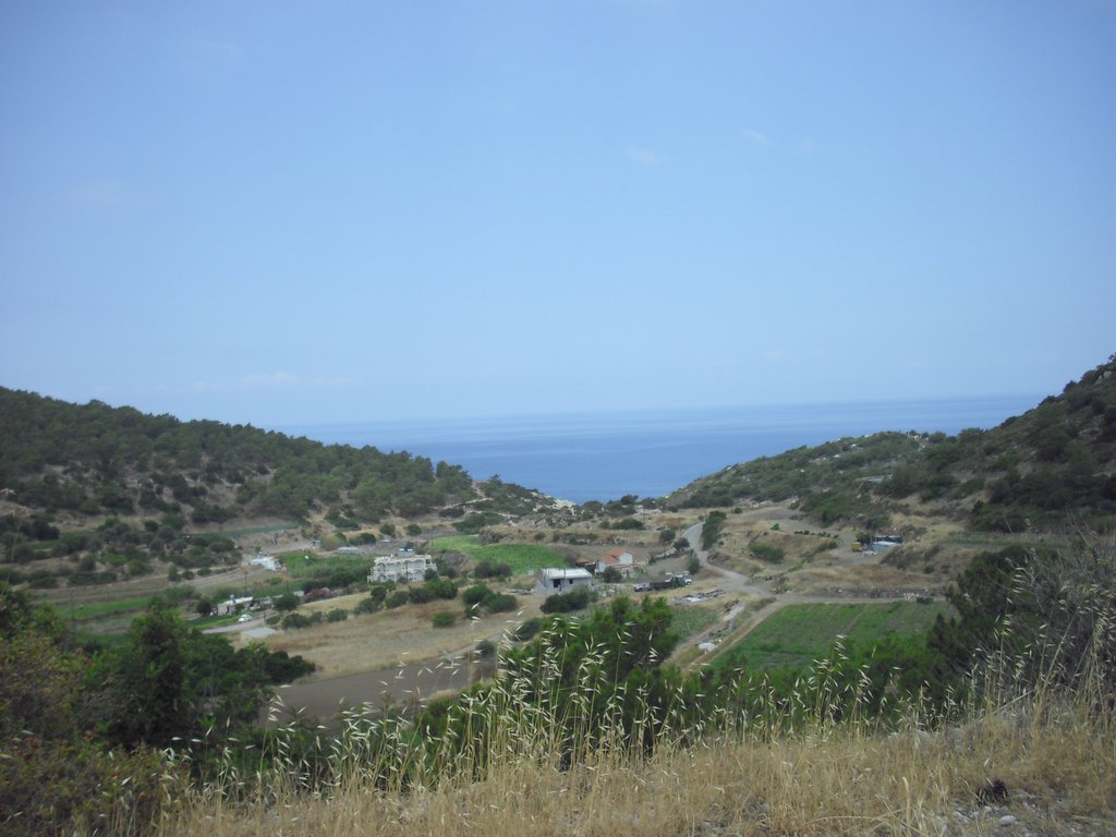 Image CIMG4703.JPG