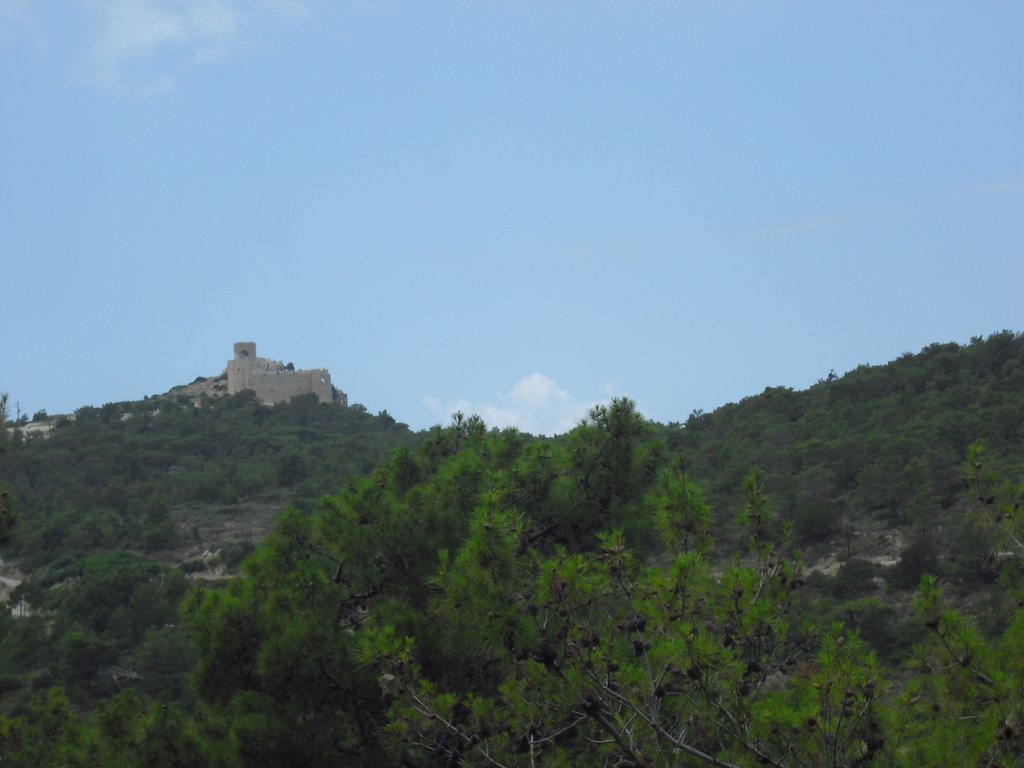 Image CIMG4704.JPG