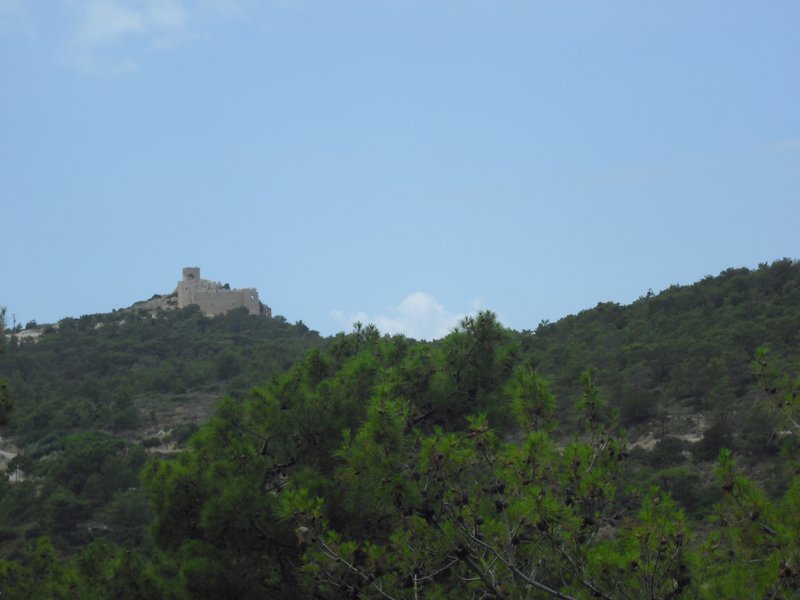 Image CIMG4704.JPG