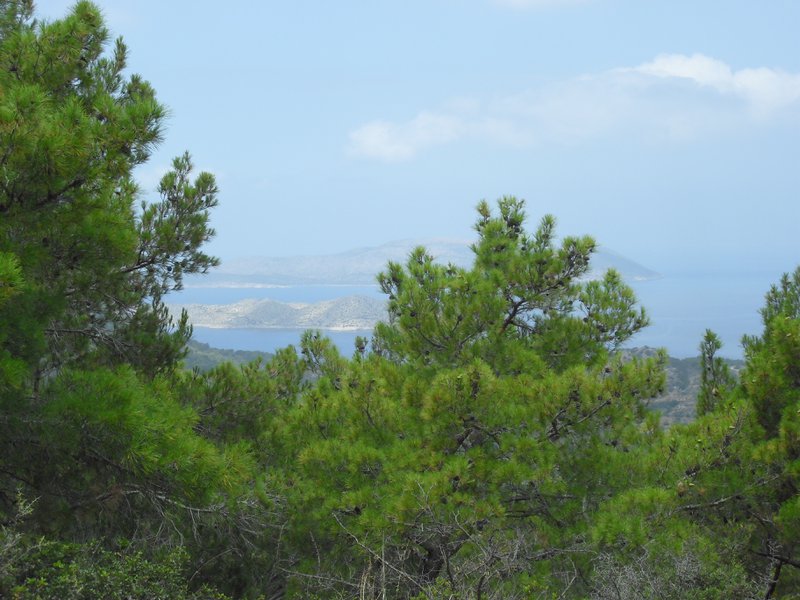 Image CIMG4706.JPG