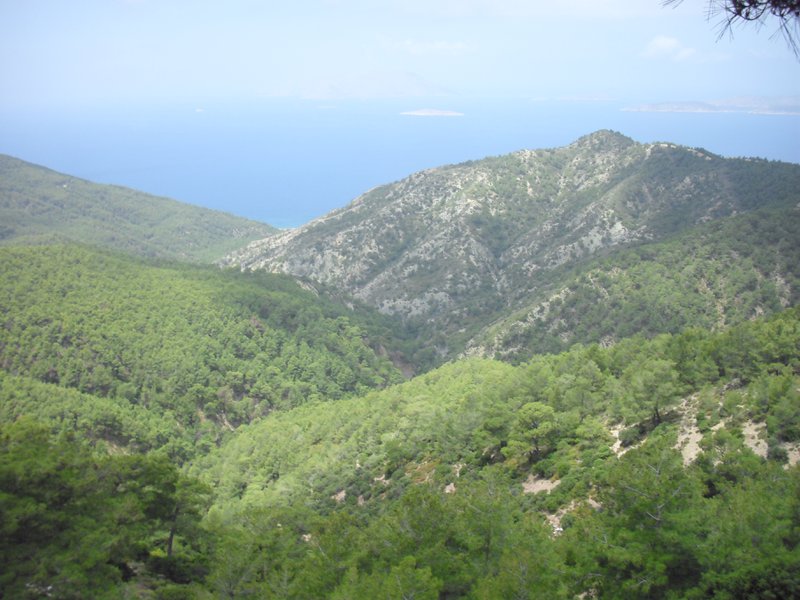Image CIMG4707.JPG