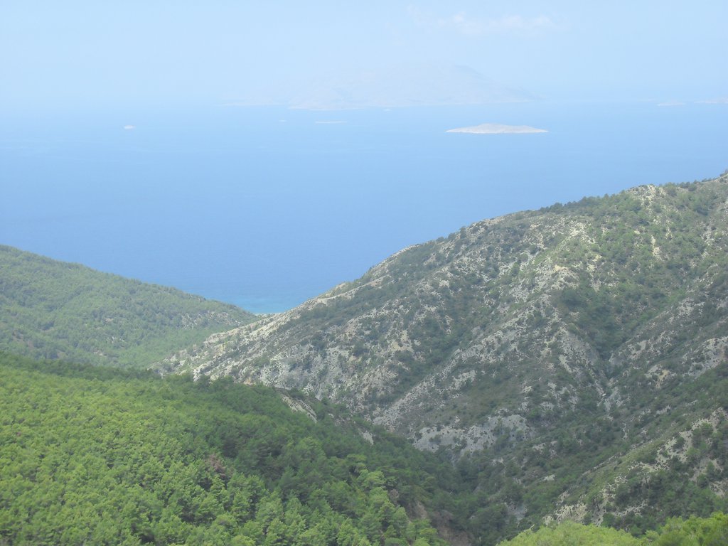 Image CIMG4708.JPG