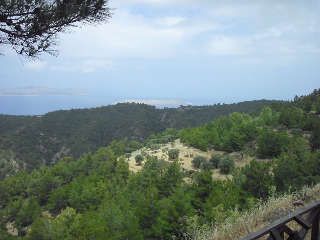 Image CIMG4709.JPG