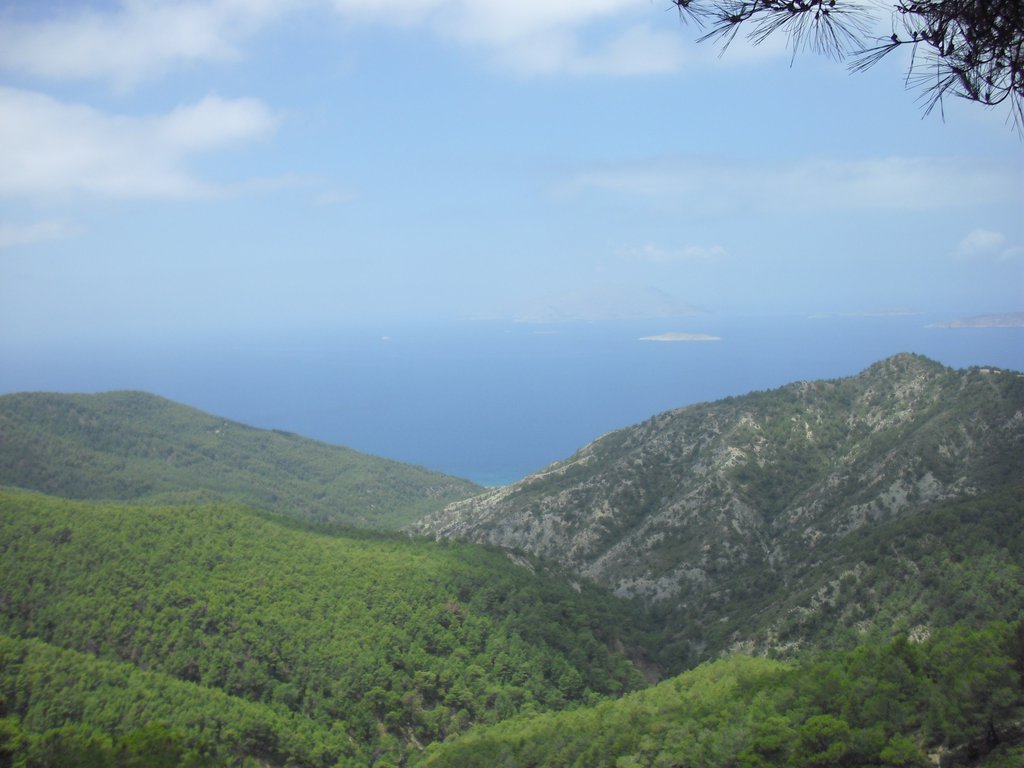 Image CIMG4710.JPG