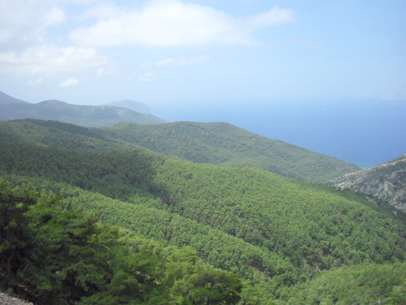 Image CIMG4711.JPG