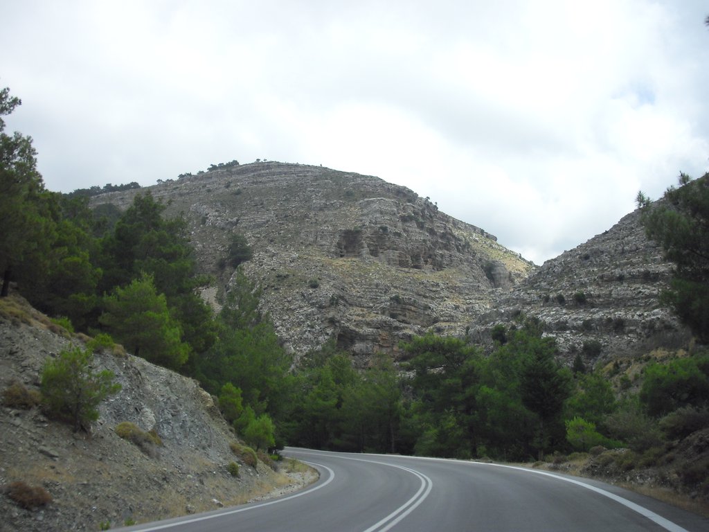 Image CIMG4713.JPG