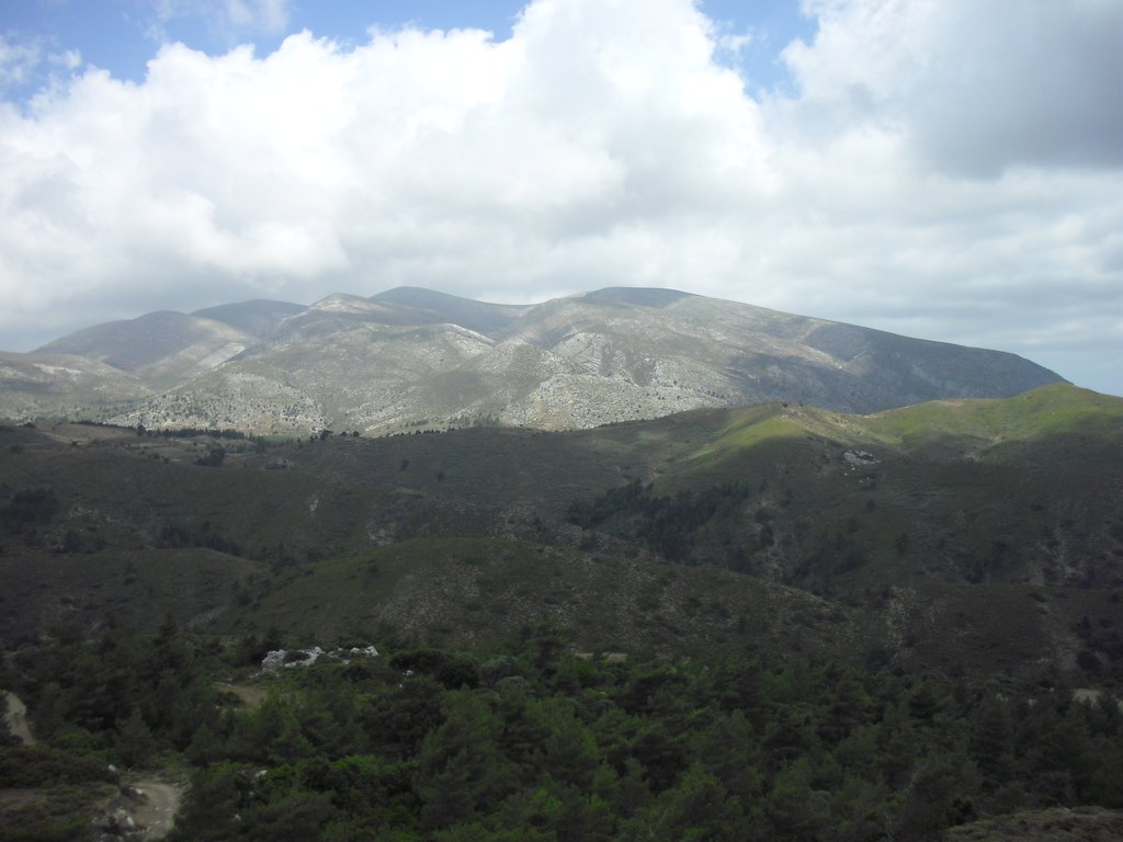 Image CIMG4716.JPG
