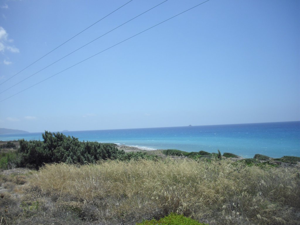 Image CIMG4720.JPG
