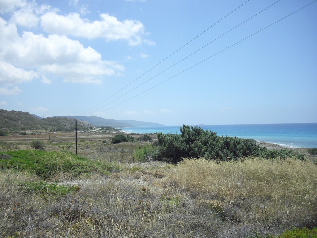 Image CIMG4721.JPG