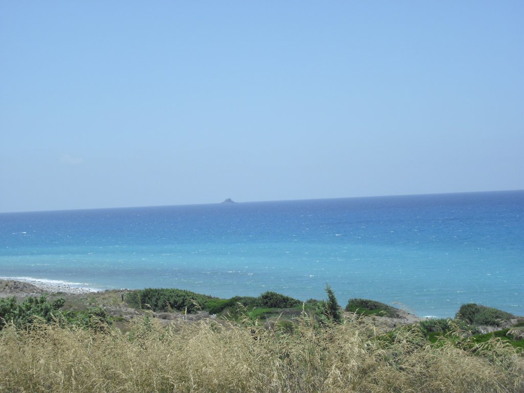 Image CIMG4722.JPG