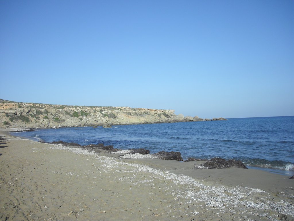 Image CIMG4732.JPG