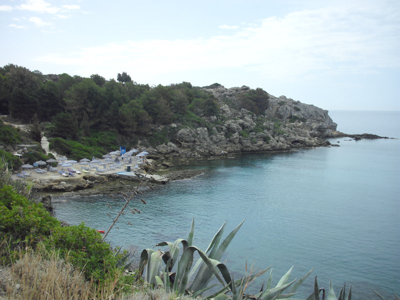 Image CIMG4744.JPG