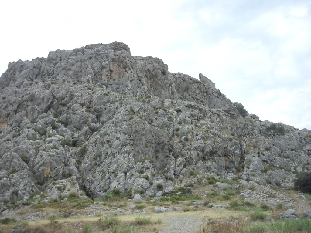 Image CIMG4750.JPG