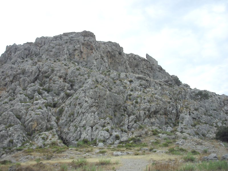 Image CIMG4750.JPG