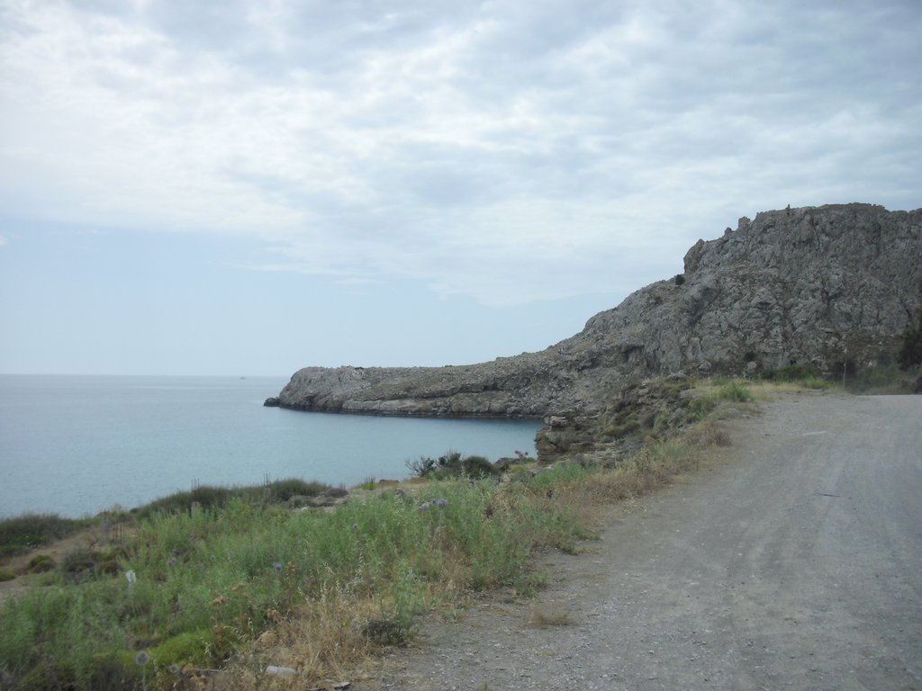 Image CIMG4753.JPG