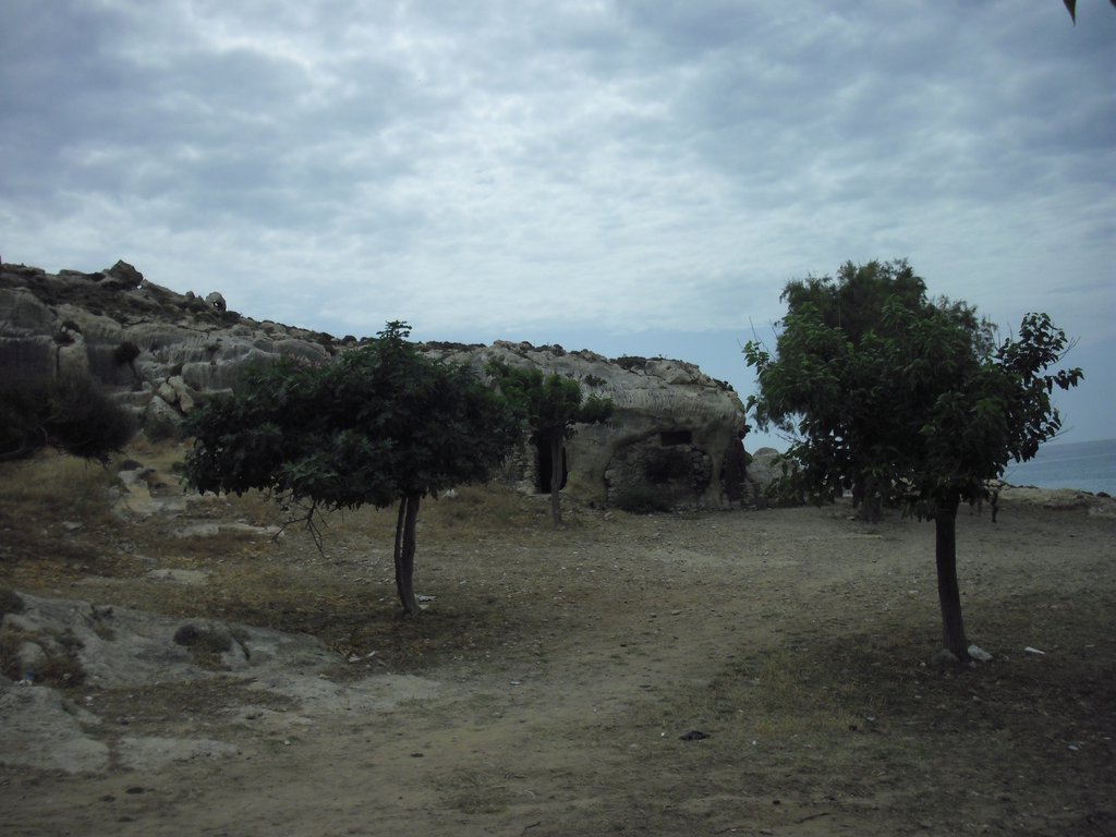 Image CIMG4760.JPG