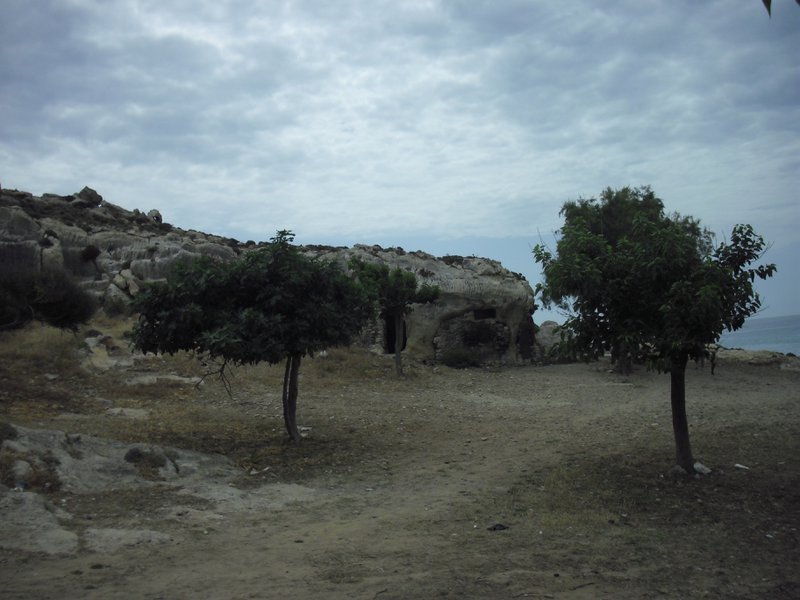 Image CIMG4760.JPG
