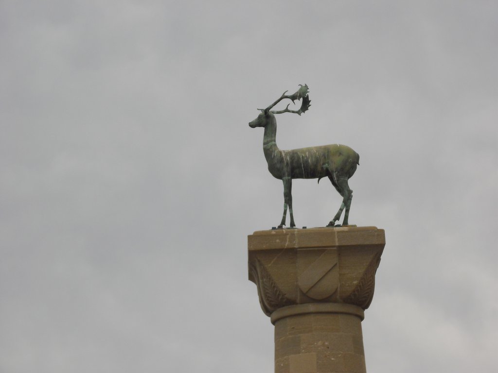 Image CIMG4764.JPG