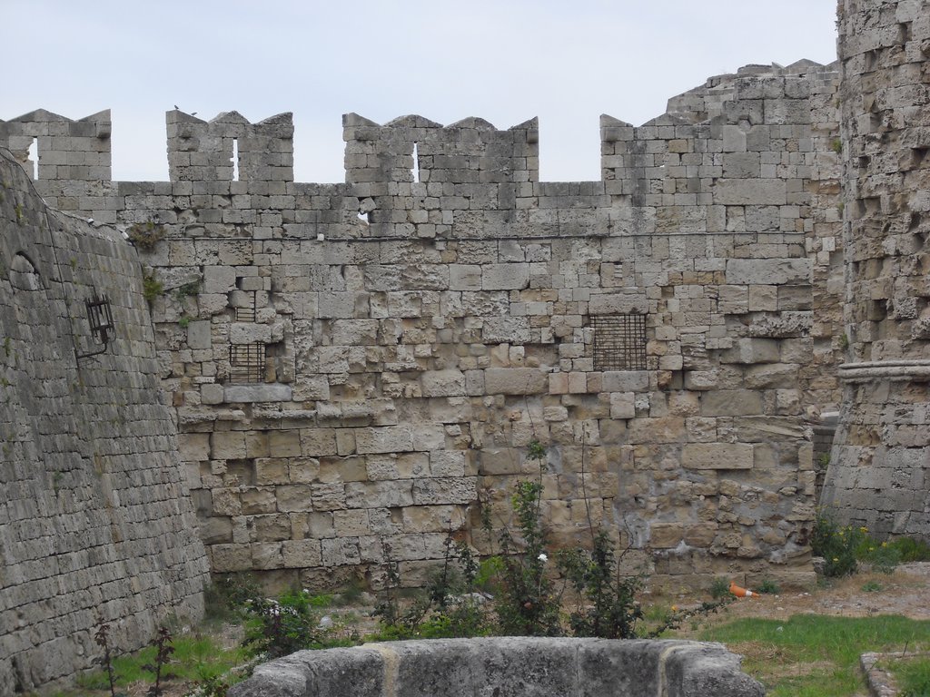 Image CIMG4770.JPG