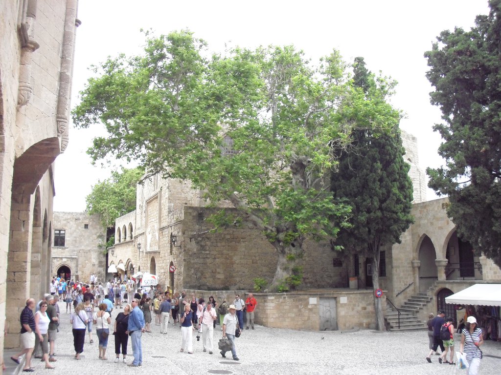 Image CIMG4774.JPG