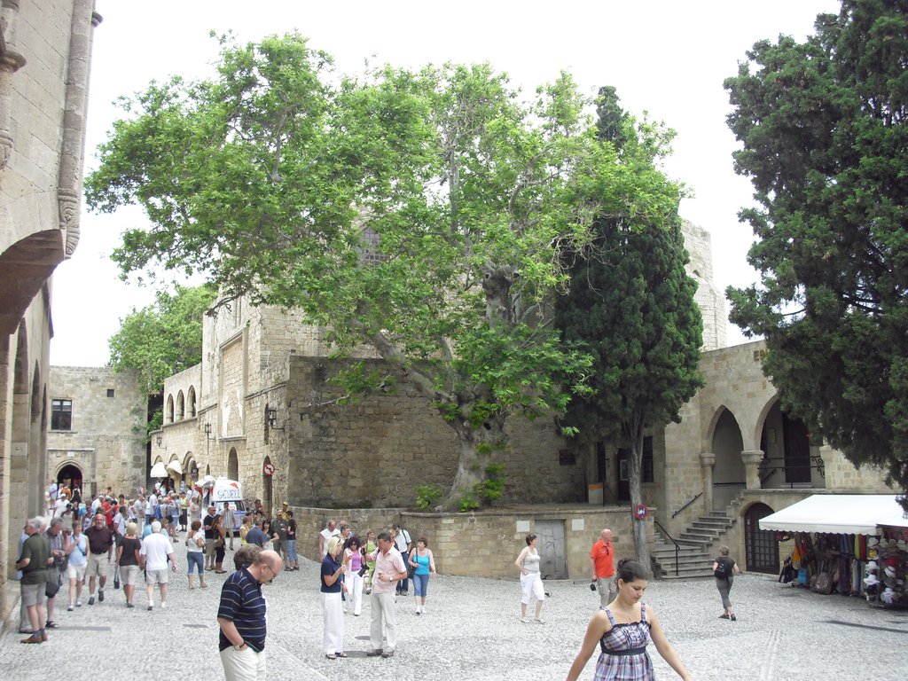 Image CIMG4775.JPG
