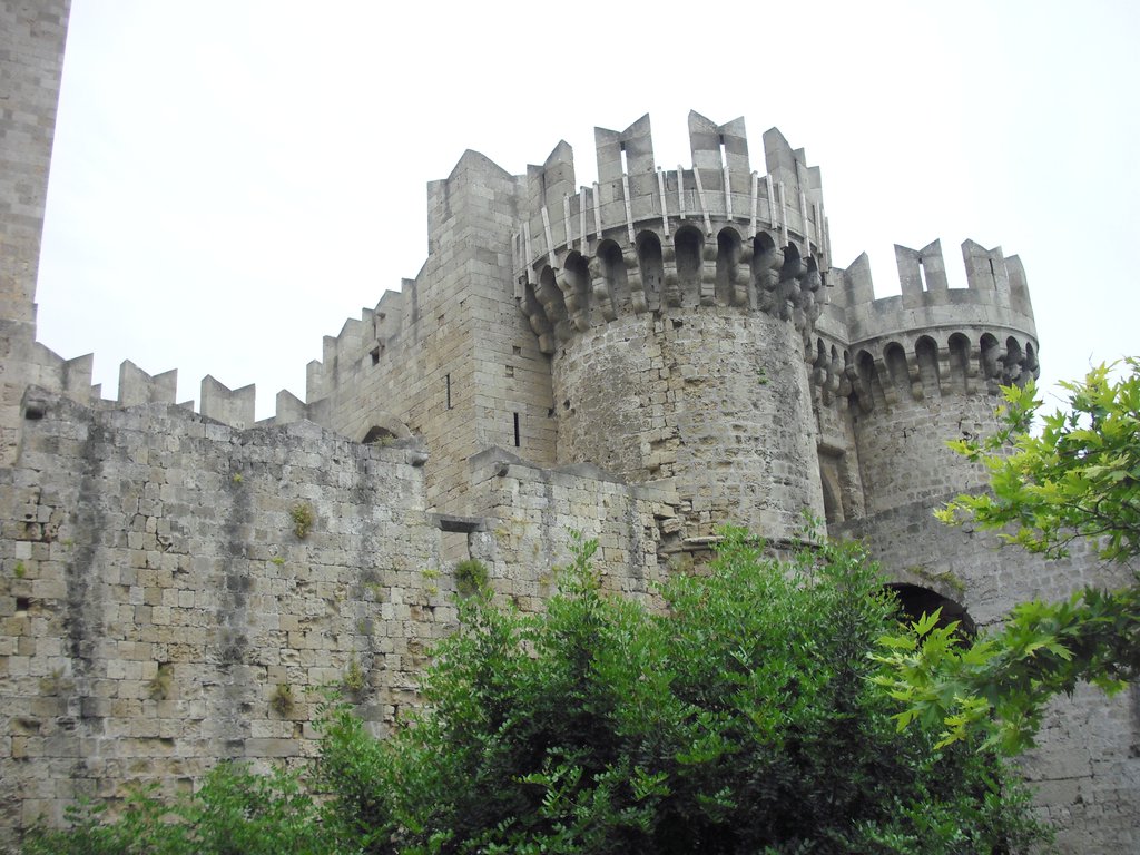 Image CIMG4781.JPG