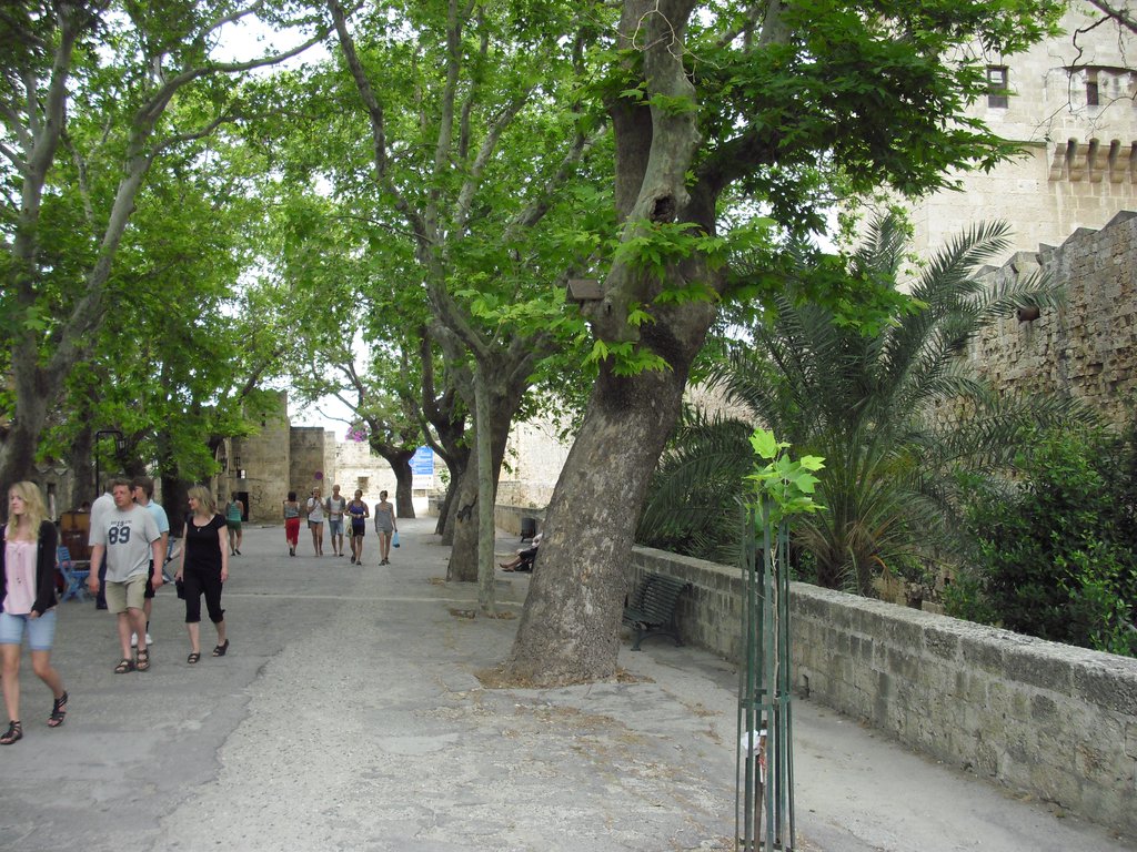 Image CIMG4782.JPG